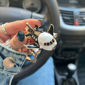 تصویر از جاسوییچی هواپیما