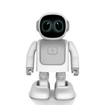 تصویر از ربات رقصنده هوشمند Robert
